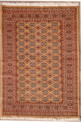 4’1”X5’10” Rug Pak Jalldar