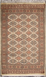 3’0”X4’10” Rug Geometric