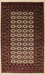 4’10”X8’0” Rug Pak Jaldar Ivory, White Color