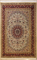 6’3”X9’0” Rug Floral